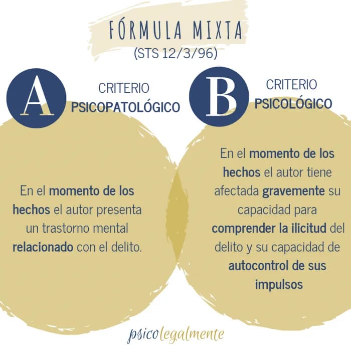 Juzgado — concepto de imputabilidad e inimputabilidad penal